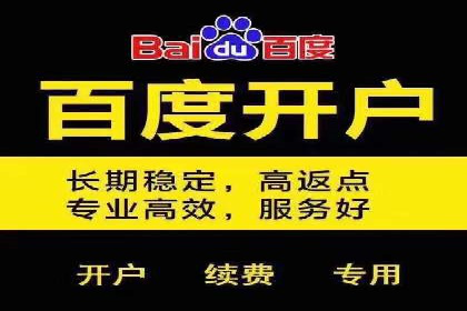 百度竞价推广在电商领域的赚钱案例